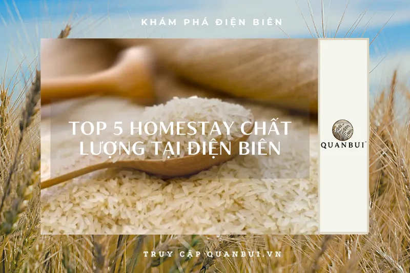 Top 5 đại lý gạo ngon nhất Điện Biên: Gạo thơm, chất lượng cao