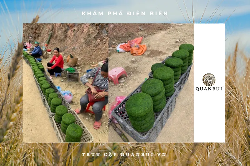 Rêu đá có ở đâu? Địa chỉ thưởng thức và mua rêu đá tại Điện Biên