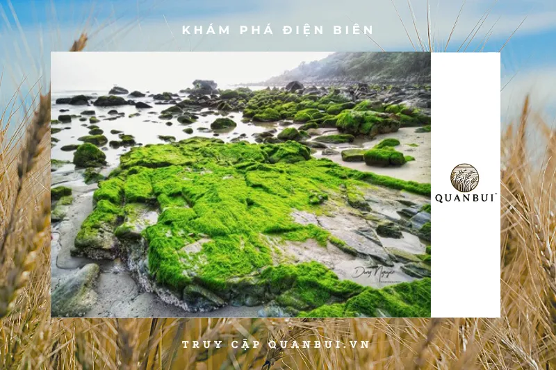 Rêu đá trong văn hóa ẩm thực Tây Bắc