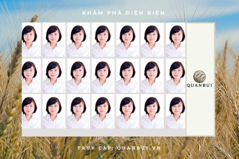 Hiệu ảnh Quang Vinh