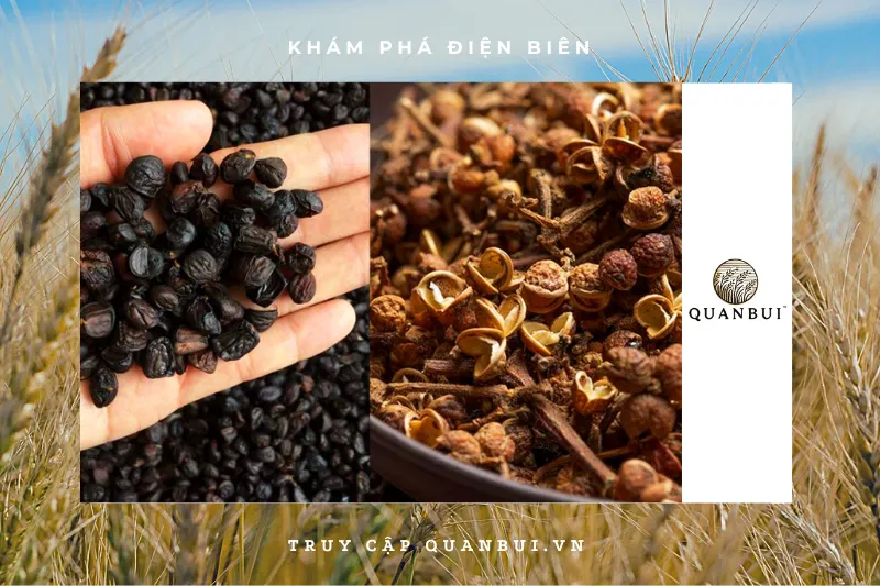 Nguyên liệu và gia vị làm nên món gà nướng mắc khén