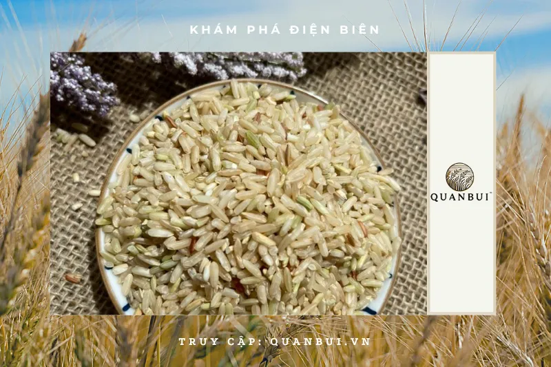 Gạo Lứt Hữu Cơ