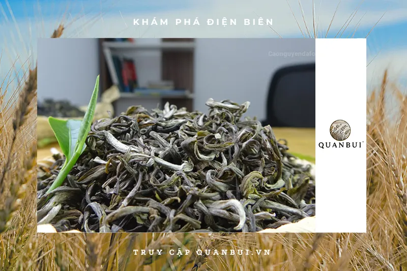 Hướng dẫn pha chè Tuyết Tủa Chùa đúng cách