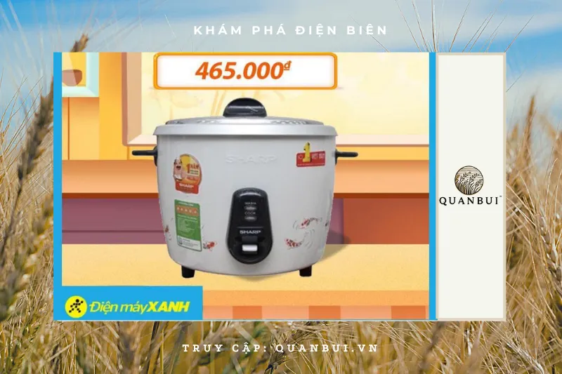 Điện Máy Điện Biên (Điện Máy Xanh)