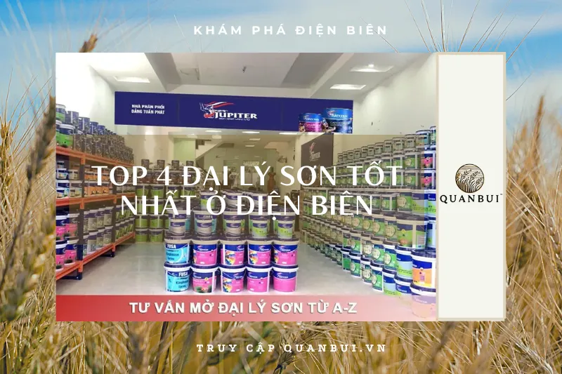 Top 4 đại lý sơn uy tín tại Điện Biên: Đảm bảo chất lượng, giá tốt
