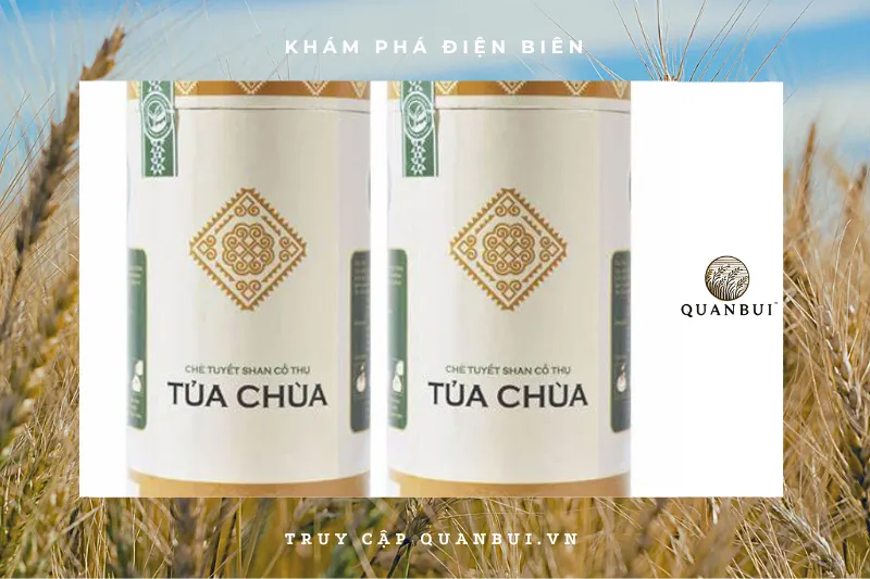 Chè Tuyết Tủa Chùa - Món quà tinh hoa Tây Bắc