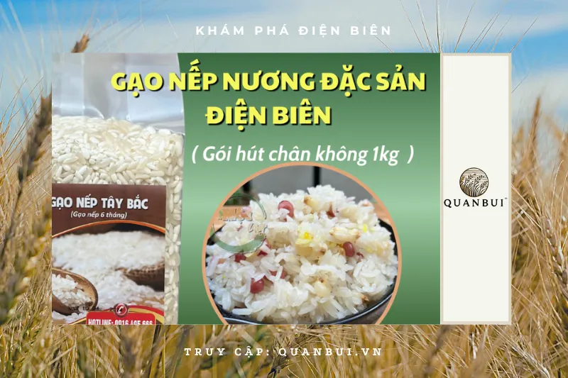 Gạo nếp nương Điện Biên - Hương vị của vùng cao