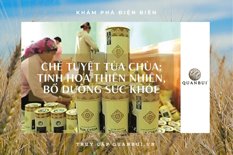 Chè Tuyết Tủa Chùa - Tinh hoa trà cổ thụ Tây Bắc