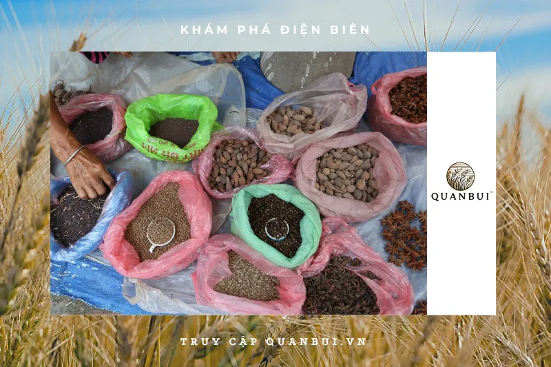 Mua gia vị mắc khén ở đâu và cách bảo quản đúng cách