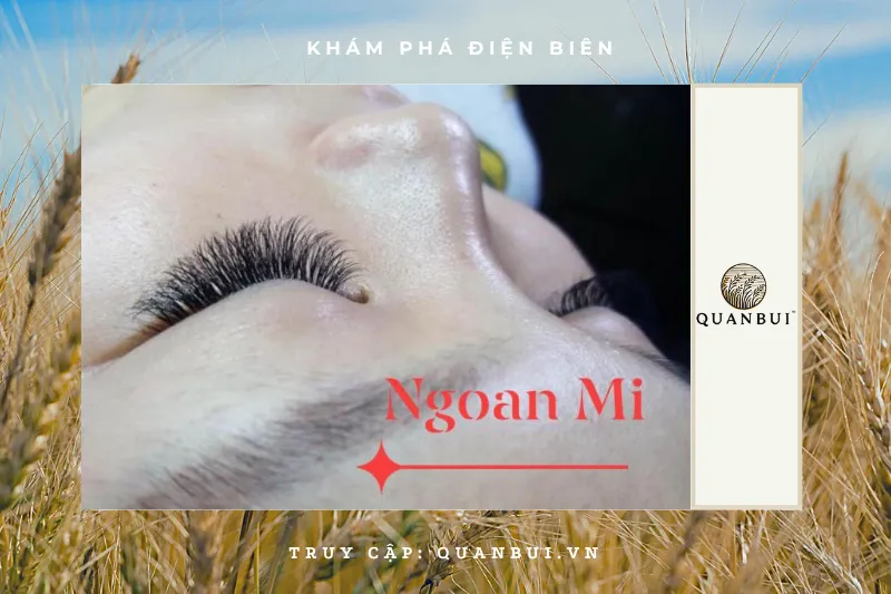 Ngoan Nguyễn - Nối Mi
