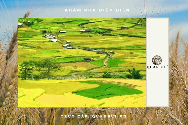 Cánh Đồng Mường Thanh - Biểu Tượng Của Điện Biên