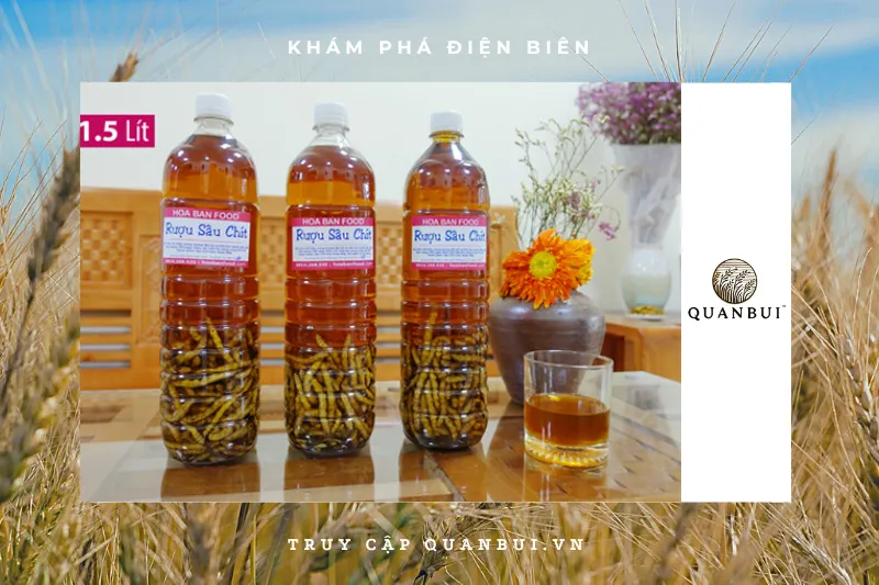 Công dụng của rượu sâu chít