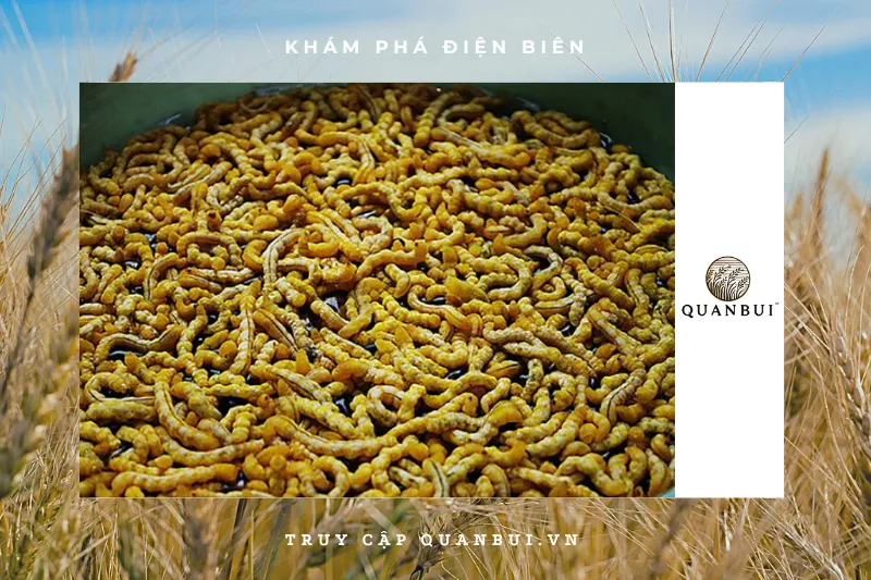 Địa chỉ mua rượu sâu chít uy tín tại Điện Biên