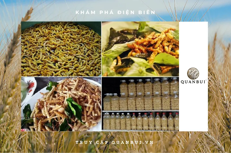 Nguyên liệu và quy trình chế biến rượu sâu chít