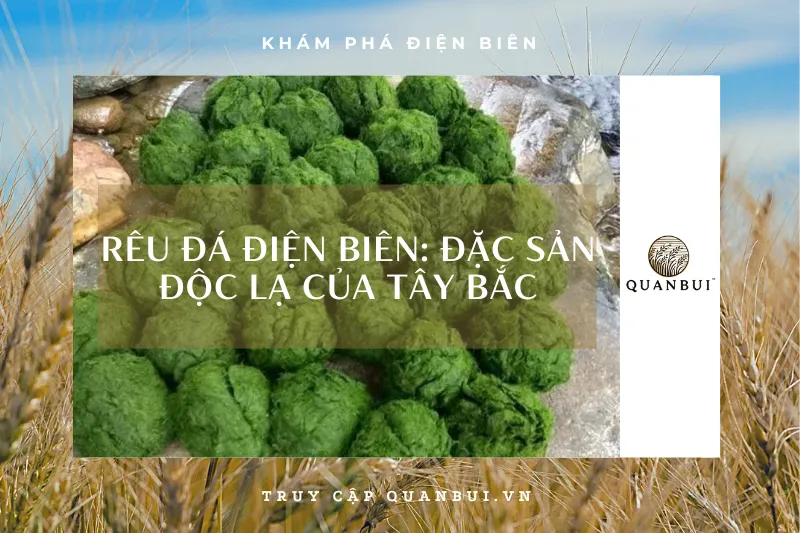 Rêu đá – Đặc sản độc đáo mang hương vị núi rừng Điện Biên