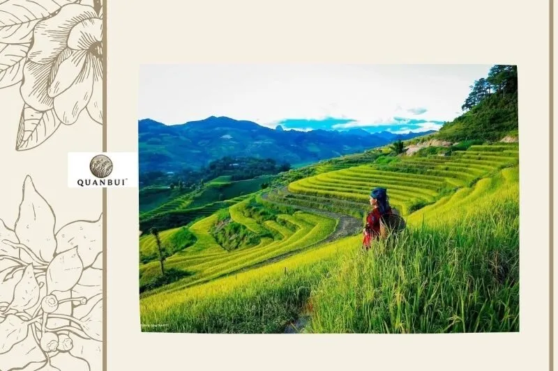 Các điểm tham quan nổi bật tại Tủa Chùa Điện Biên