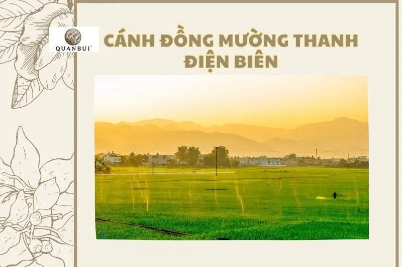 Cánh Đồng Mường Thanh điện biên AB