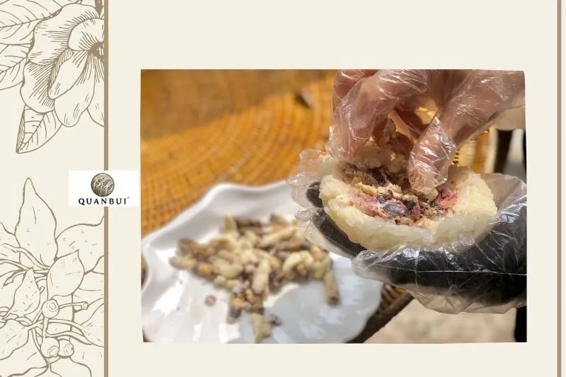 Chế biến nhộng ong đất dầm trám đen Điện Biên