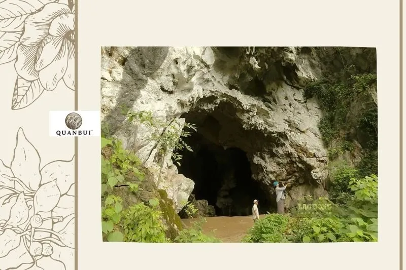 Động Pa Thơm Điện Biên - Thiên nhiên hùng vĩ