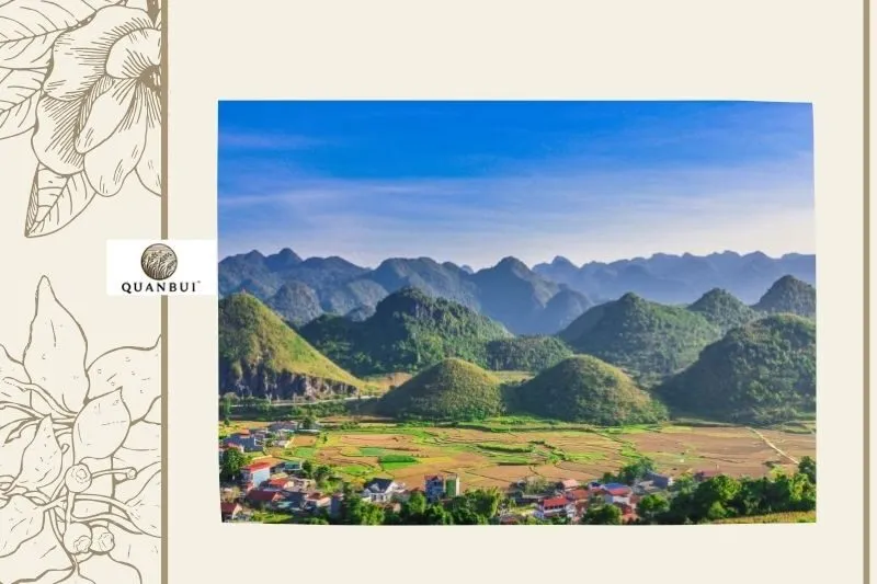 Giới thiệu chung về Tủa Chùa Điện Biên