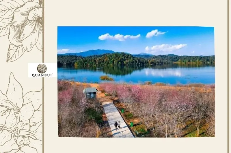 Hồ Pá Khoang ở đâu?