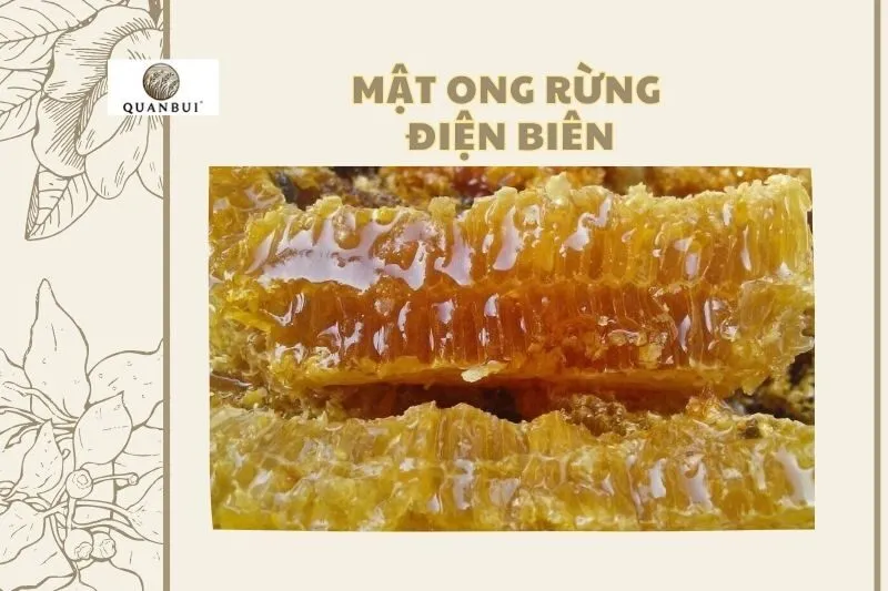 Mật Ong Rừng Điện Biên