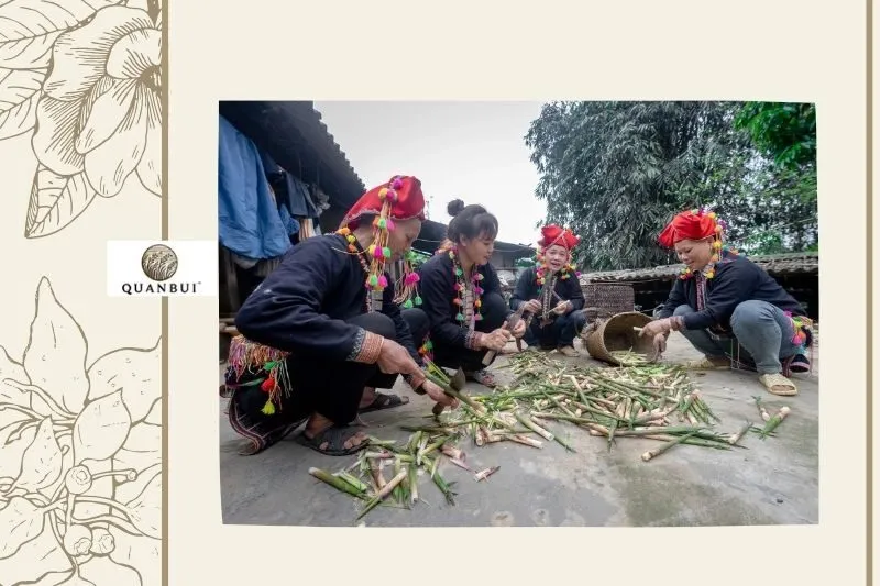 Mùa măng đắng Điện Biên và cách thu hoạch