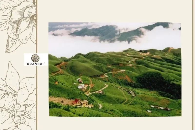 Mường Ảng Điện Biên: Khám Phá Vẻ Đẹp