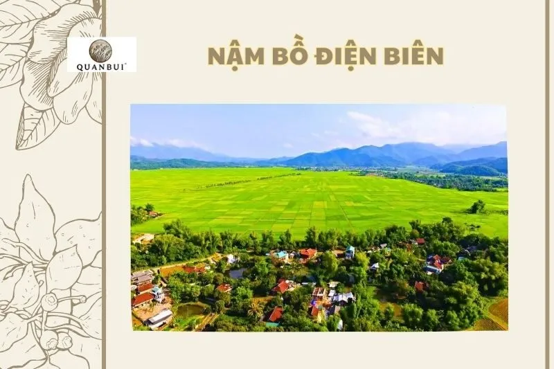 Nậm Pồ Điện Biên