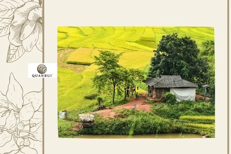 Nậm Pồ Điện Biên ở đâu và có gì đặc biệt?