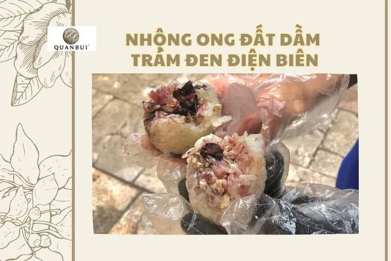 nhộng ong đất dầm trám đen Điện Biên