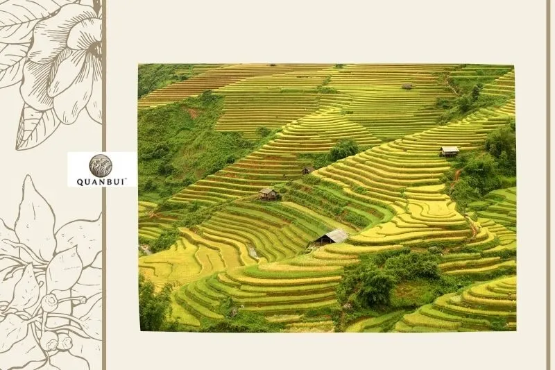 Những cảnh đẹp tự nhiên nổi bật ở Nậm Pồ Điện Biên