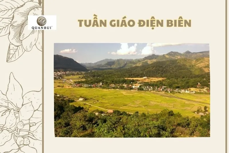 Tuần Giáo Điện Biên