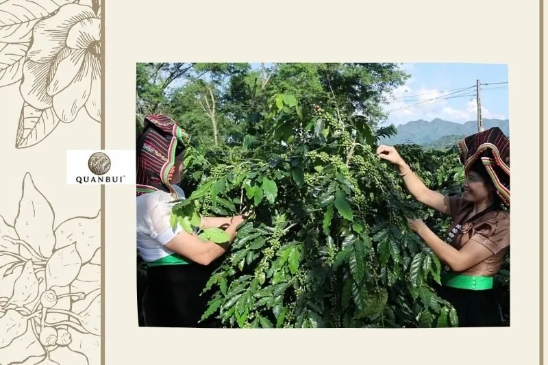 Văn hóa và đời sống dân tộc tại Mường Ảng