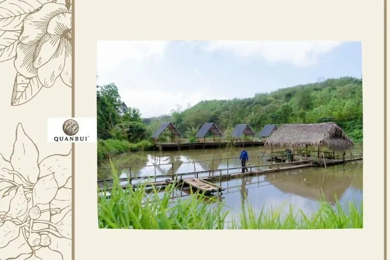 Bản Ngải Thầu Điện Biên - Một điểm đến du lịch hấp dẫn