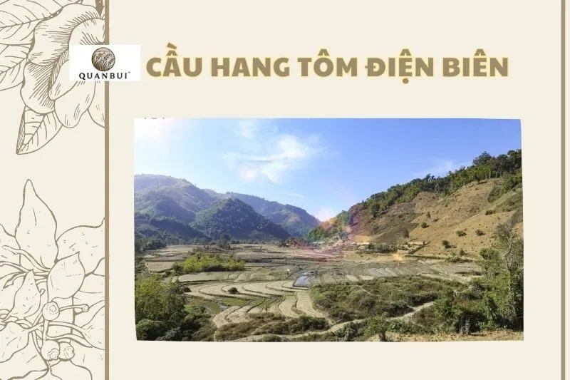 CẦU HANG TÔM ĐIỆN BIÊN
