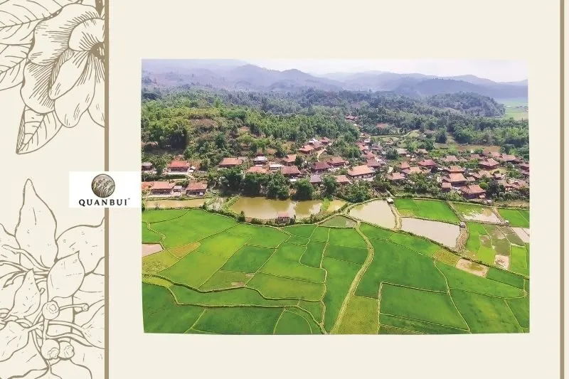 Địa Điểm Tổ Chức Tết Nào Pê Chầu