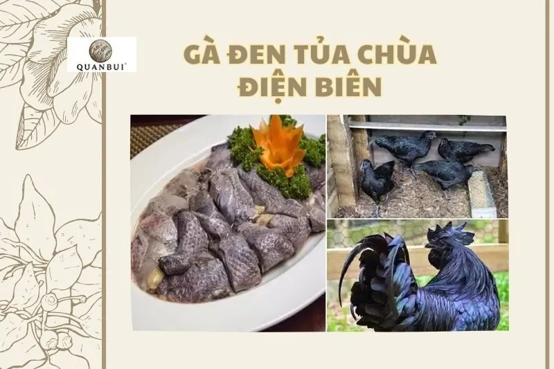 GÀ ĐEN TỦA CHÙA ĐIỆN BIÊN