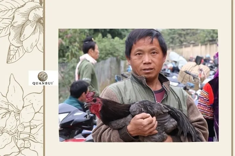 Gà đen Tủa Chùa trong văn hóa người Mông Tây Bắc