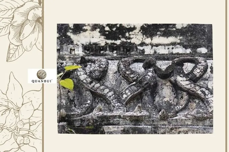 Hoạt động văn hóa & Du lịch tại đây