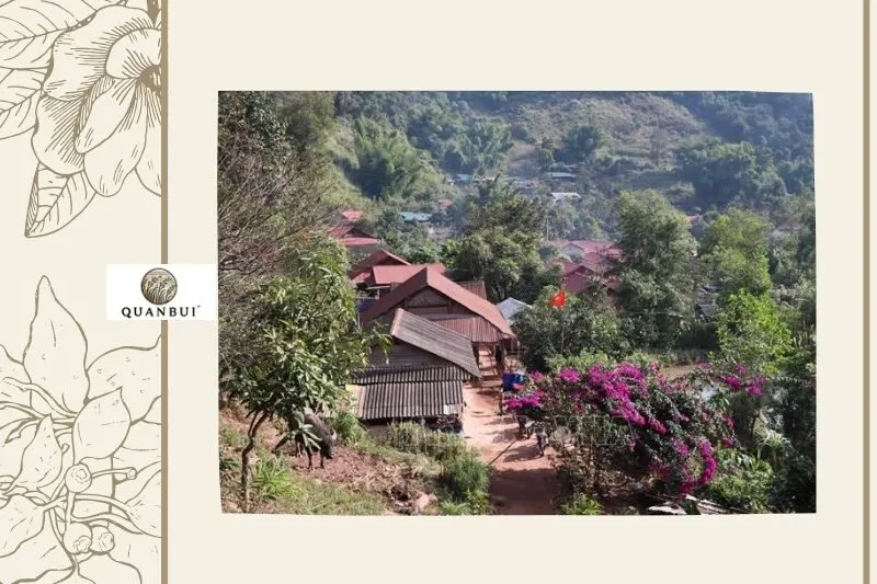 Khám Phá Văn Hóa Dân Tộc Hà Nhì Tại Tả Kố Khừ