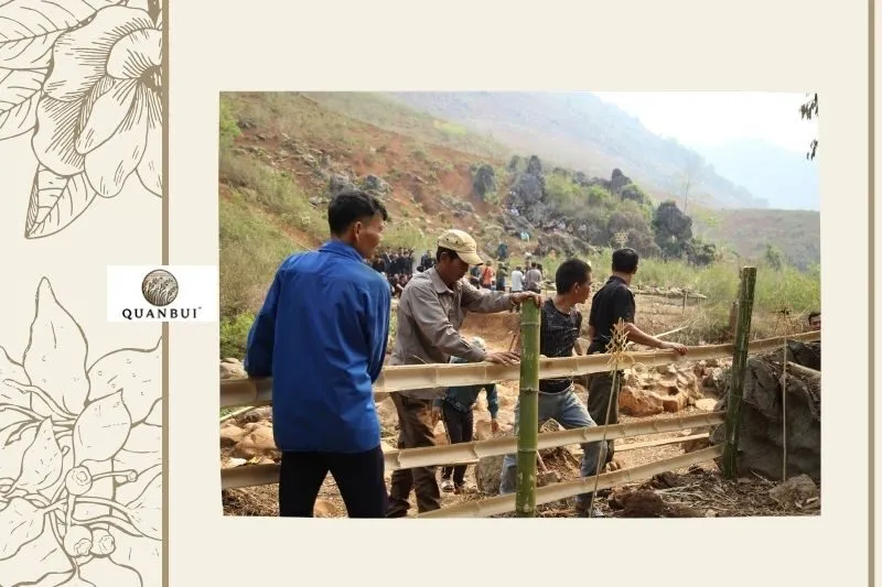 Lễ Cúng Và Đoán Vận May Qua Gan, Mật Lợn