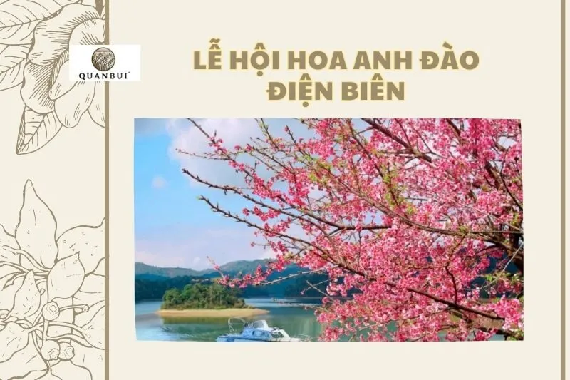 LỄ HỘI HOA ANH ĐÀO ĐIỆN BIÊN