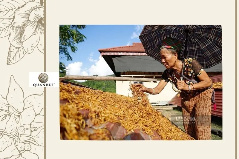 Món Ăn Phổ Biến Từ Măng Khô Tây Bắc