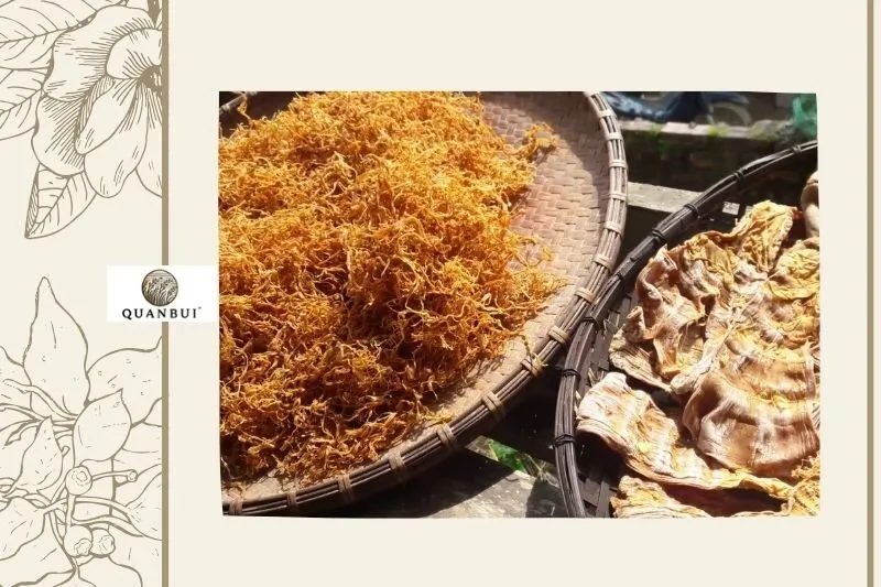 Mua Măng khô Điện Biên Ở Đâu