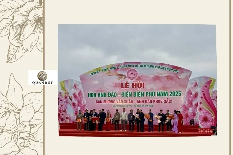 Những hoạt động đặc sắc tại Lễ hội Hoa anh đào