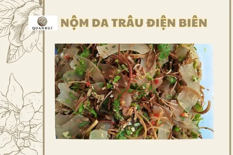 NỘM DA TRÂU Điện Biên