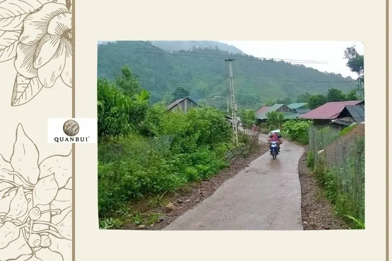 Tả Kố Khừ Điện Biên - Du Lịch Văn Hóa Độc Đáo