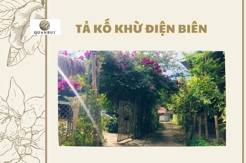 TẢ KỐ KHỪ ĐIỆN BIÊN