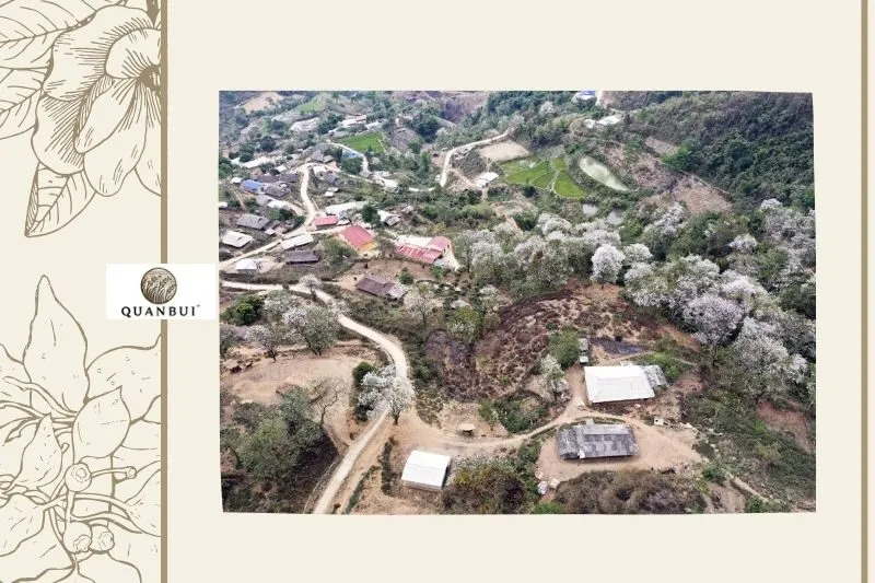 Bản Nậm Là Điện Biên: Tổng Quan Về Lịch Sử và Đặc Điểm